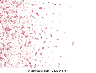 Color Cherry Petal Vector White Background. Pastel Floor Sakura Petal Template. Rose Petal Beauty Illustration. Free Lotus Petal Poster.
