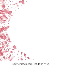Color Cherry Petal Vector White Background. Purple Aroma Rose Petal Congratulation. Sakura Petal Floor Template. Fresh Lotus Petal Frame.