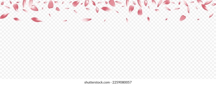 Color Vector de cerezo Panorámico Fondo Transparente. Pancarta de Aroma en llamas. Tarjeta Petal Fall. Lluvia floral fondo. Diseño del Matrimonio del Corazón Rojo.