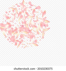 Color Cherry Vector Transparent Background. Rosa Soft Texture. Heart Flutter Card. Flower Down Congratulation. Red Sakura Valentine Cover.