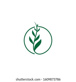 color circle leaf logo design