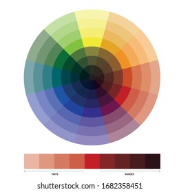 Color circle and warm and cold colors. vector.