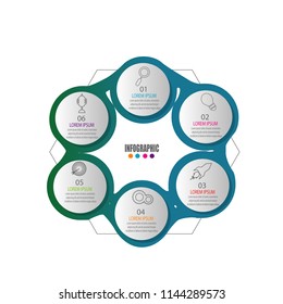 color Circlular creative modern timeline infographic template element for workflow,process,presentation with modern cycle concept design vector