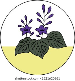 Color circular hanafuda December paulownia paulownia scum