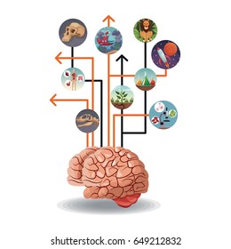 color circular icons with picture world evolution inside connected to brain