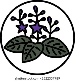 Color circular mini hanafuda December paulownia paulownia scum