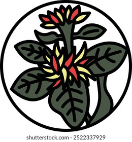 Color circular mini hanafuda Nagatsuki crisantemo septiembre crisantemo dragas