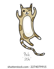 Color clip art of a pet on a white or transparent background. From a vector large set. Hare, hamster, cat, dog, mouse, raccoon, fox, kittens, toys, parrot