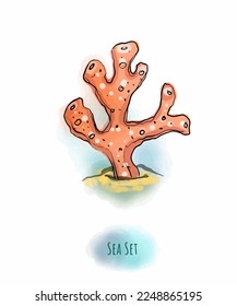 A color clipart on a light or transparent background from a sea set, a boat, a crab, a chest of gold, seagulls, an island, coral and sea fish.
