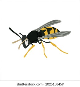 Color Clipart Vector Illustration Design