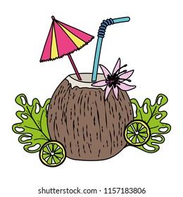 color coconut beverage and lemons with tropical plants