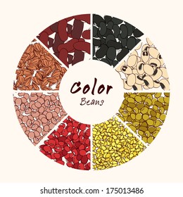 Color Collection of Beans hand drawn vector