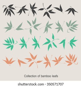 Color collection with leafs bamboo.