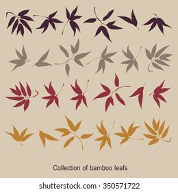 Color collection with leafs bamboo.