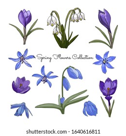 
color collection of spring flowers for your design