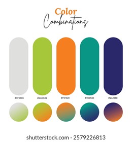 Color Combinations Palettes Vector set