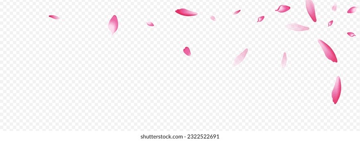 Color Confetti Vector Panorámico Fondo Transparente. Textura de lluvia floral. Patrón gráfico Petal. Diseño del matrimonio en flor. La Luz Sakura Cae La Felicidad.