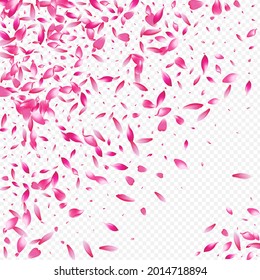 Color Confetti Vector Transparent Background. Rosa Sky Cover. Sakura Wind Pattern. Tree Fly Card. White Flower Blur Template.