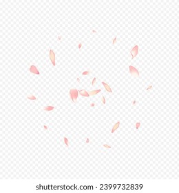 Color Confetti Vector Transparent Background. Rosa Overlay Texture. Floral Feminine Design. Sakura Beauty Congratulation. Pink Tree Fly Backdrop.