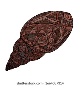 Dibujo en color de una concha con un patrón boho. Cañón de caracol. Imagen de doodle de color vectorial para banner, tarjeta y tu creatividad.