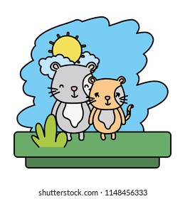 color couple cat nice wild animal