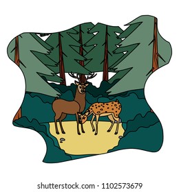 color couple deer wild animal in the landscape