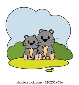 color couple mouse wild animal in the landscape