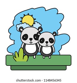 color couple panda cute wild animal