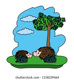 color couple porcupine cute animal in the forest