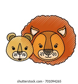 color crayon silhouette caricature face couple cute lion and lioness animals vector illustration