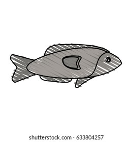 color crayon stripe fish aquatic animal