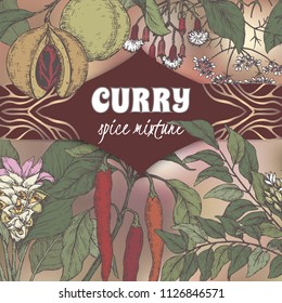 Color curry mixture template with curry tree, turmeric, coriander, chili pepper, clove, nutmeg sketch. Curry collection. Great for cooking, gardening design.
