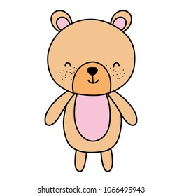 color cute bear teddy animal toy