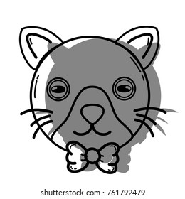 color cute cat head pet animal vector illustration