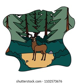 color cute deer male animal in the landscape