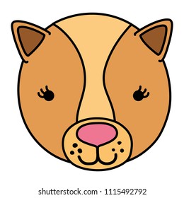 color cute female lion head wild animal