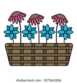 color cute flowers with nature petals inside plantpot