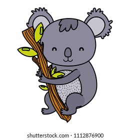 color cute koala wild animal in the branch leaves