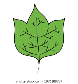 color cute nature leaf style of plant
