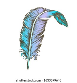 Color Decorative Bird Element Feather Vintage Vector. Standing Feather Cover Exterior Flyer Body Detail Writer Ancient Ink Tool. Template Designed In Retro Style Illustration