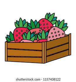 color delicious strawberries fruits inside wood basket