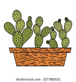 color desert and nature cactus plant inside flowerpot
