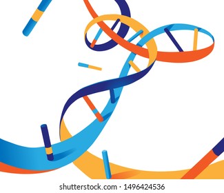 Color DNA Helix vector illustration on white background