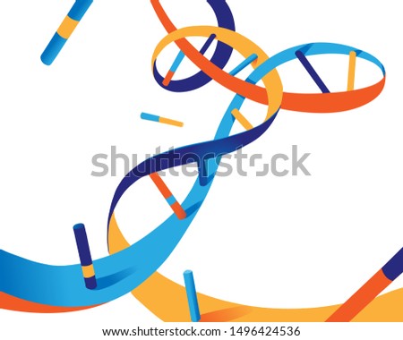 Color DNA Helix vector illustration on white background
