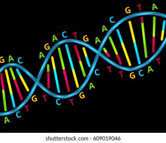 Color DNA scheme