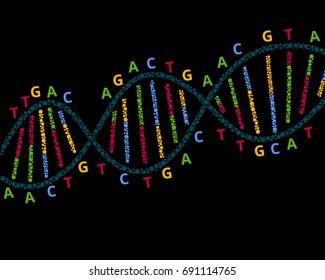 Color DNA scheme