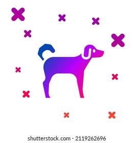 Color Dog icon isolated on white background. Gradient random dynamic shapes. Vector