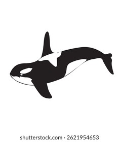 Color dolphin can be used for any purpose. Icon, line, vector