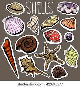 Color doodles or stickers of sea shells 
