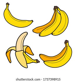 Color drawing banana isolated on white background. Sketch for coloring booking page. Vector illustration